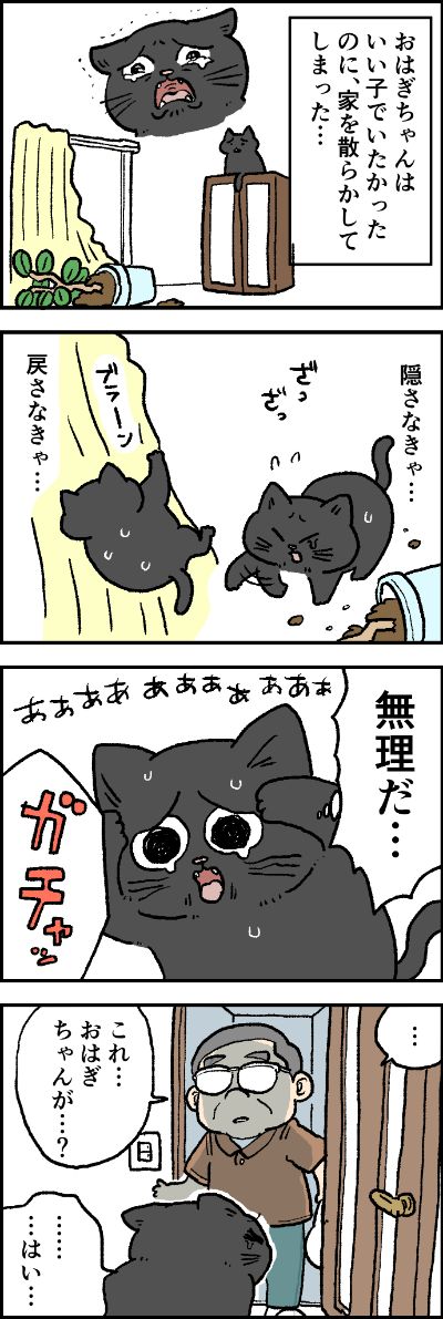 別のしんぱい│フェリシモ猫部